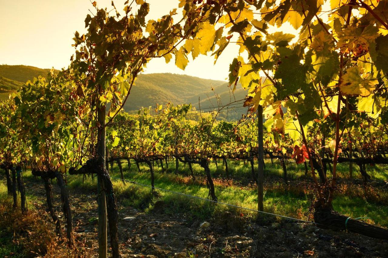 Stageroom03 - Chianti Castellina in Chianti Exteriör bild